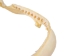 Bull Shark Jaw 9.5": Gallery Item - 561-J16-09-G4619 (Y3KRF)