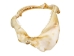 Bull Shark Jaw 10": Gallery Item  - 561-J16-09-G4768 (Y3KRF)