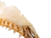 Mako Shark Jaw 17": Gallery Item - 561-J17-G4505 (Y1K)