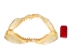 Mako Shark Jaw 18": Gallery Item - 561-J17-G4506 (Y1K)