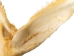 Mako Shark Jaw 18": Gallery Item - 561-J17-G4506 (Y1K)