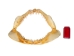 Mako Shark Jaw 21": Gallery Item - 561-J17-G4508 (Y1K)