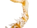 Mako Shark Jaw 21": Gallery Item - 561-J17-G4508 (Y1K)