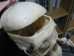 Replica Life-Size Human Skeleton: Gallery Item - 594-10-G01 (Y1LRL)
