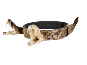 1" Real Rattlesnake Hat Band with Rattle and 2 Heads (Open Mouths): Gallery Item rattlesnake hatbands