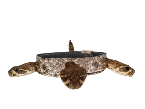 1" Real Rattlesnake Hat Band with Rattle and 3 Heads (Closed Mouths): Gallery Item rattlesnake hatbands