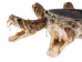1" Real Rattlesnake Hat Band with Rattle and 5 Heads (Open Mouths): Gallery Item - 598-HB218-G6462 (Y2LRE)