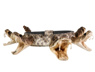 1" Real Rattlesnake Hat Band with Rattle and 5 Heads (Open Mouths): Gallery Item rattlesnake hatbands