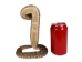 Mounted Real Texas Western Diamondback Rattlesnake Striker: 30.25": Gallery Item - 598-M102C-G4115 (Y2LRG)