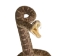 Mounted Real Texas Western Diamondback Rattlesnake Striker: 30.25": Gallery Item - 598-M102C-G4115 (Y2LRG)