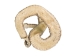 Mounted Real Texas Western Diamondback Rattlesnake Striker: 30.25": Gallery Item - 598-M102C-G4115 (Y2LRG)