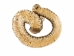 Two-Headed Mounted Real Texas Western Diamondback Rattlesnake Striker: 39": Gallery Item - 598-M102H2-G7920 (Y2LRG)