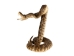 Two-Headed Mounted Real Texas Western Diamondback Rattlesnake Striker: 39": Gallery Item - 598-M102H2-G7920 (Y2LRG)