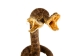 Two-Headed Mounted Real Texas Western Diamondback Rattlesnake Striker: 31": Gallery Item - 598-M102H2-G7921 (Y2LRG)