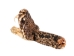 Real Eastern Diamondback Rattlesnake Head: Jumbo: Gallery Item - 598-P517JE-G6660 (Y2LRA)