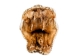 Real Eastern Diamondback Rattlesnake Head: Jumbo: Gallery Item - 598-P517JE-G6661 (Y2LRA)