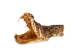 Real Eastern Diamondback Rattlesnake Head: Jumbo: Gallery Item - 598-P517JE-G6661 (Y2LRA)
