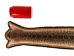 Rattlesnake Skin with Rattle and Head on Felt: 52.25": Gallery Item - 598-SKT-G6550 (Y2L)