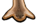 Rattlesnake Skin with Rattle and Head on Felt: 52.25": Gallery Item - 598-SKT-G6550 (Y2L)
