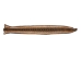 Rattlesnake Skin with Rattle and Head on Felt: 52.25": Gallery Item - 598-SKT-G6550 (Y2L)