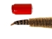Rattlesnake Skin with Rattle and Head: 49.75": Gallery Item - 598-SKT-G6552 (Y2L)
