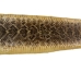 Rattlesnake Skin with Rattle: 54" including rattle: Gallery Item - 598-SKT-G6966 (Y2LRG)