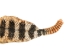 Rattlesnake Skin with Rattle: 54" including rattle: Gallery Item - 598-SKT-G6966 (Y2LRG)