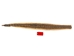 Rattlesnake Skin with Rattle: 53.5" including rattle: Gallery Item - 598-SKT-G6967 (Y2LRG)