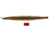 Rattlesnake Skin with Rattle: 46.5" including rattle: Gallery Item - 598-SKU-G6963 (Y2LRG)