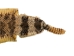 Rattlesnake Skin with Rattle: 46.5" including rattle: Gallery Item - 598-SKU-G6963 (Y2LRG)