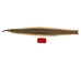 Rattlesnake Skin with Rattle: 43.5" including rattle: Gallery Item - 598-SKU-G6965 (Y2LRG)