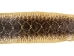 Rattlesnake Skin with Rattle: 43.5" including rattle: Gallery Item - 598-SKU-G6965 (Y2LRG)