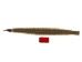 Rattlesnake Skin with Rattle: 38.25" including rattle: Gallery Item - 598-SKV-G6961 (Y2LRG)