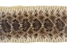 Rattlesnake Skin with Rattle: 38.25" including rattle: Gallery Item - 598-SKV-G6961 (Y2LRG)