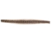 Rattlesnake Skin with No Rattle: 36.5": Gallery Item - 598-SRW-G6437 (Y2LRE)