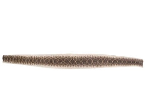 Rattlesnake Skin with No Rattle: 36.5": Gallery Item 