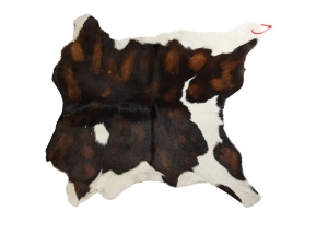 Calf Skin: Gallery Item 