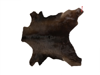 Calf Skin: Gallery Item 
