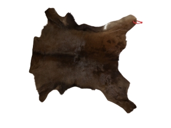Calf Skin: Gallery Item 
