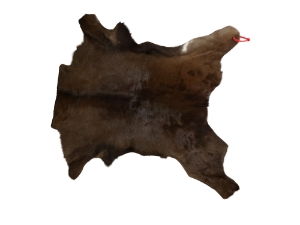 Calf Skin: Gallery Item 