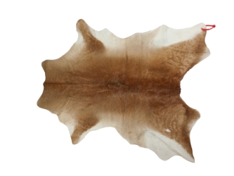 Calf Skin: Gallery Item 