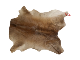 Calf Skin: Gallery Item 