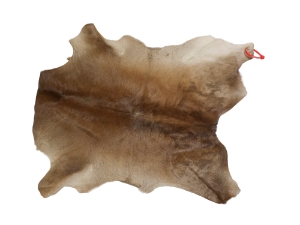 Calf Skin: Gallery Item 
