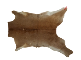 Calf Skin: Gallery Item 