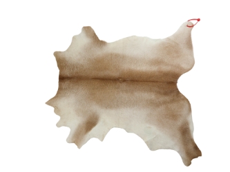 Calf Skin: Gallery Item 