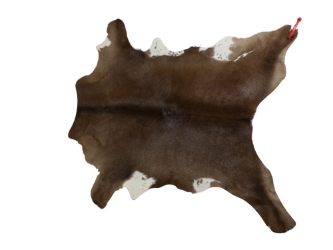 Calf Skin: Gallery Item 