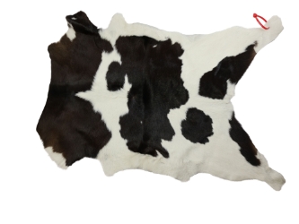 Calf Skin: Gallery Item 