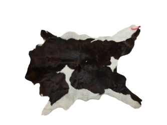 Calf Skin: Gallery Item 