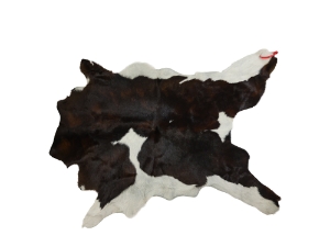 Calf Skin: Gallery Item 