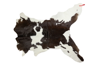 Calf Skin: Gallery Item 